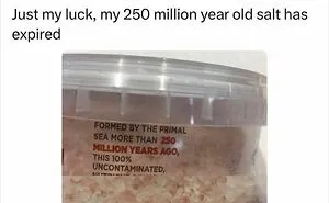 98 Savage Comments That Were Funnier Than The Original Posts