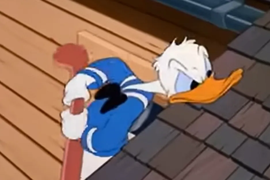 Donald Duck, with an angry expression, holding a red pole, looking over the brown tiled roof. Who is this bird's nemesis?