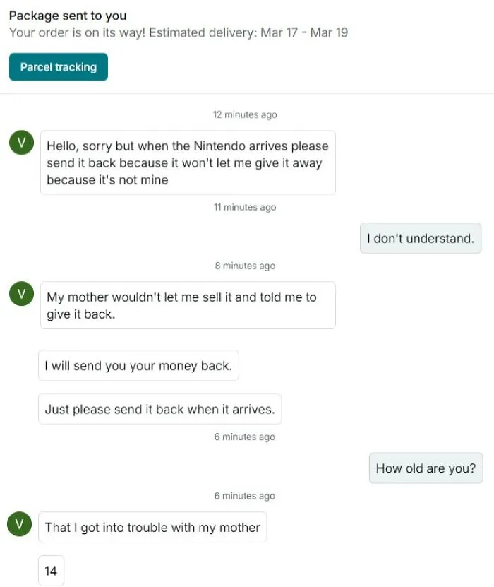 Can We Please Stop Letting Kids Use Vinted?