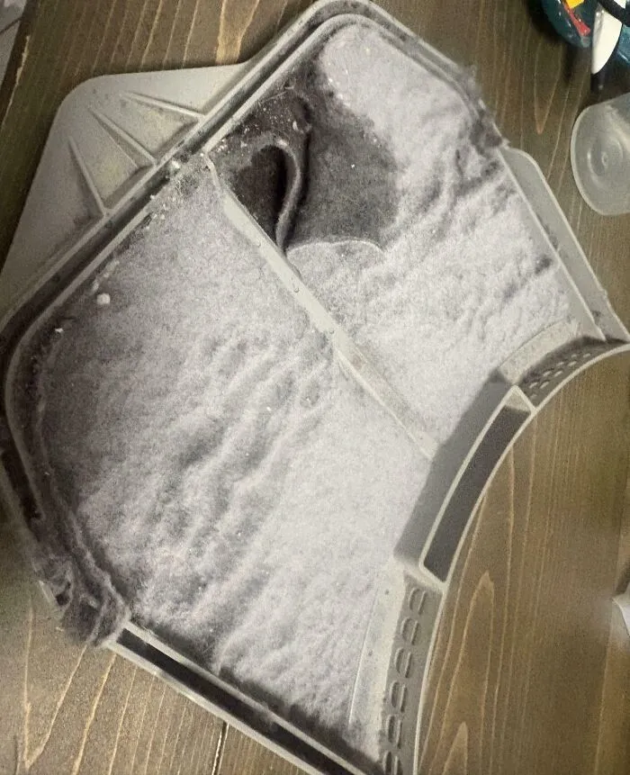 Family Refuses To Acknowledge That The Lint Trap Needs Emptying