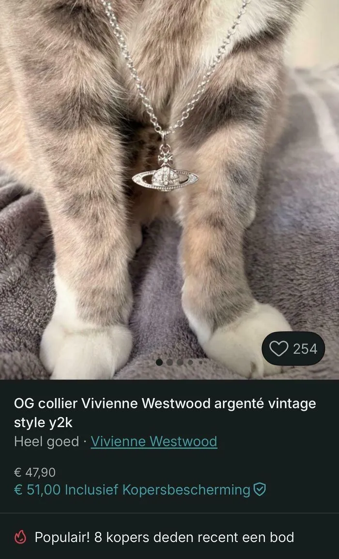 Cute Model