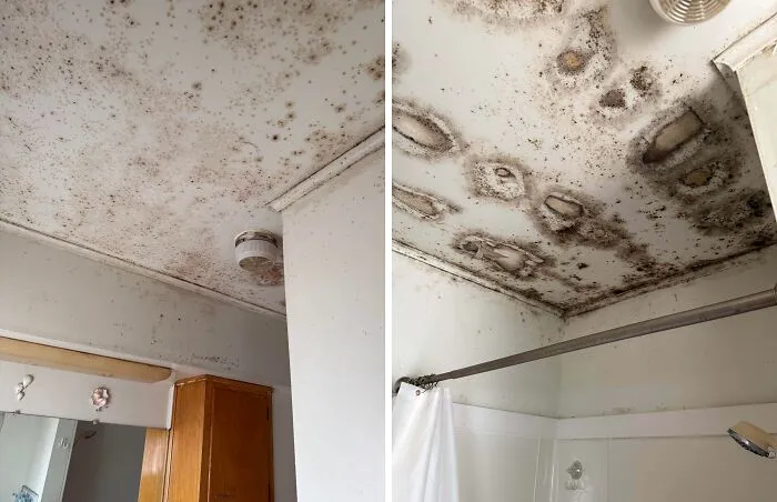 Mold In My Bathroom And My Parents Are In Denial