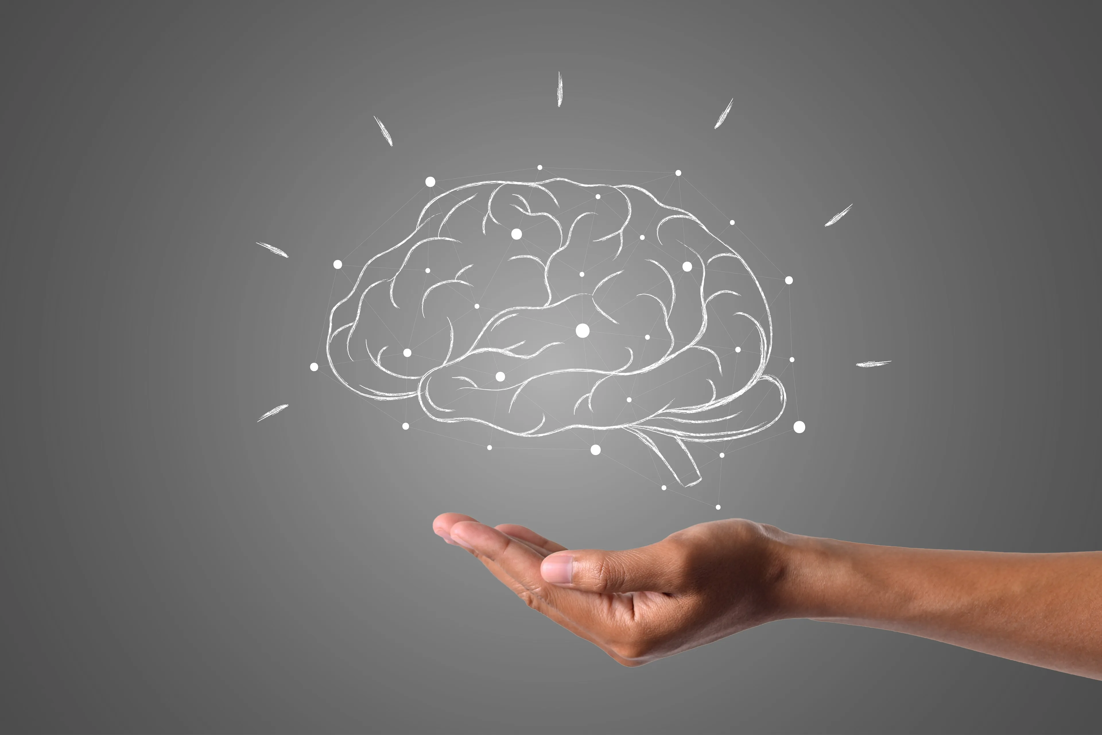 A hand holding a glowing white human brain illustration against a gray background, representing the human brain system.