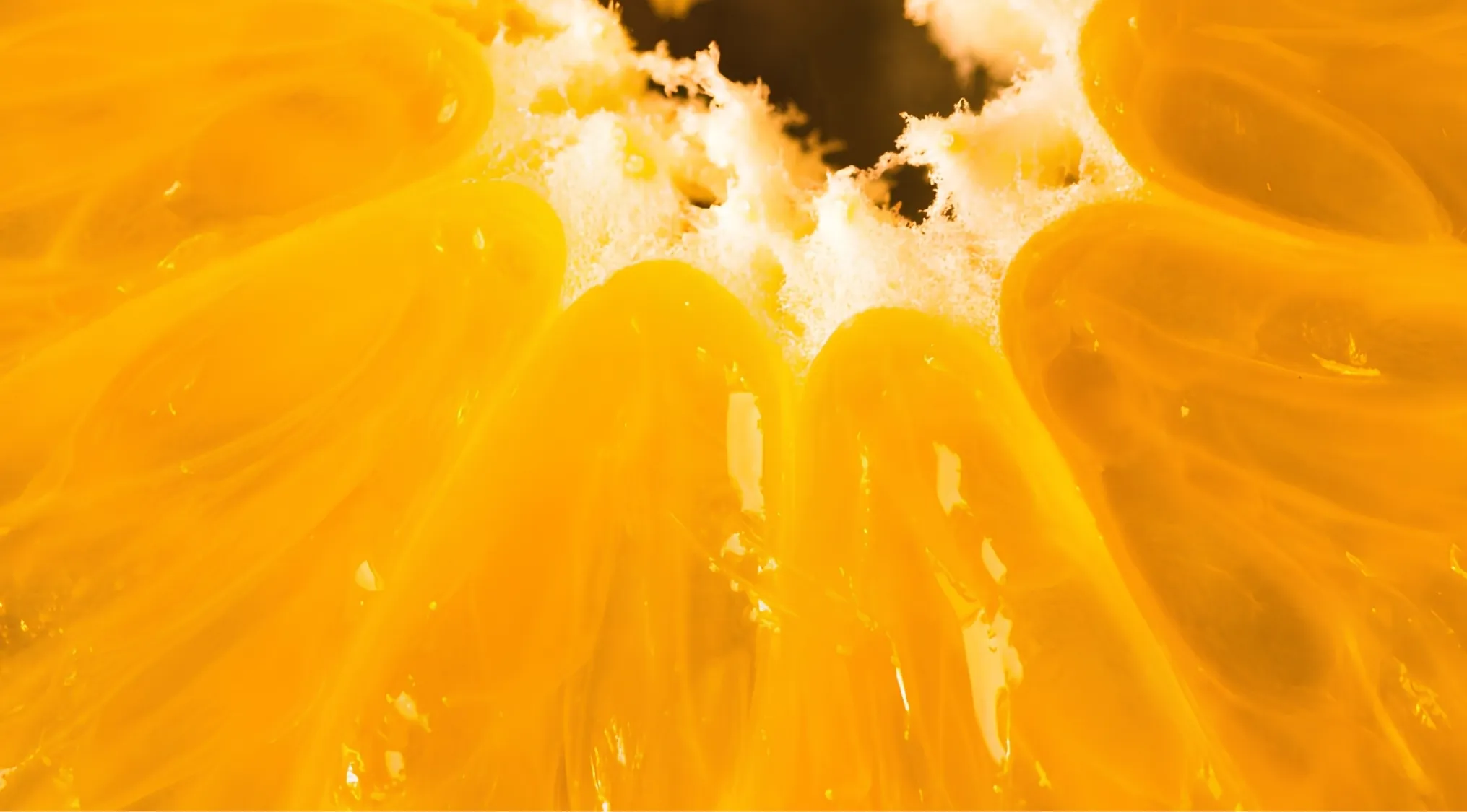 Zoomed-in image of an orange segment's vibrant, translucent pulp and fibrous pith.