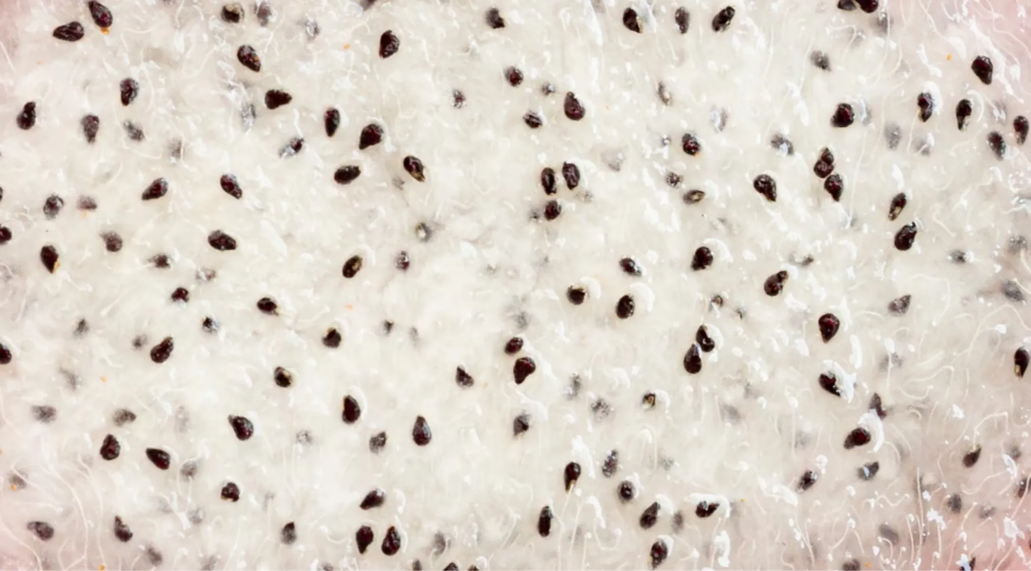 A high-resolution image of dragon fruit flesh with black seeds. Part 2 Zoomed-in images.
