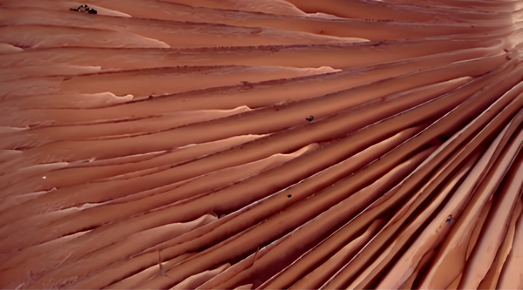 A close-up of parallel, wavy, reddish-brown lines, possibly the underside of a mushroom. Zoomed-in images for guessing.