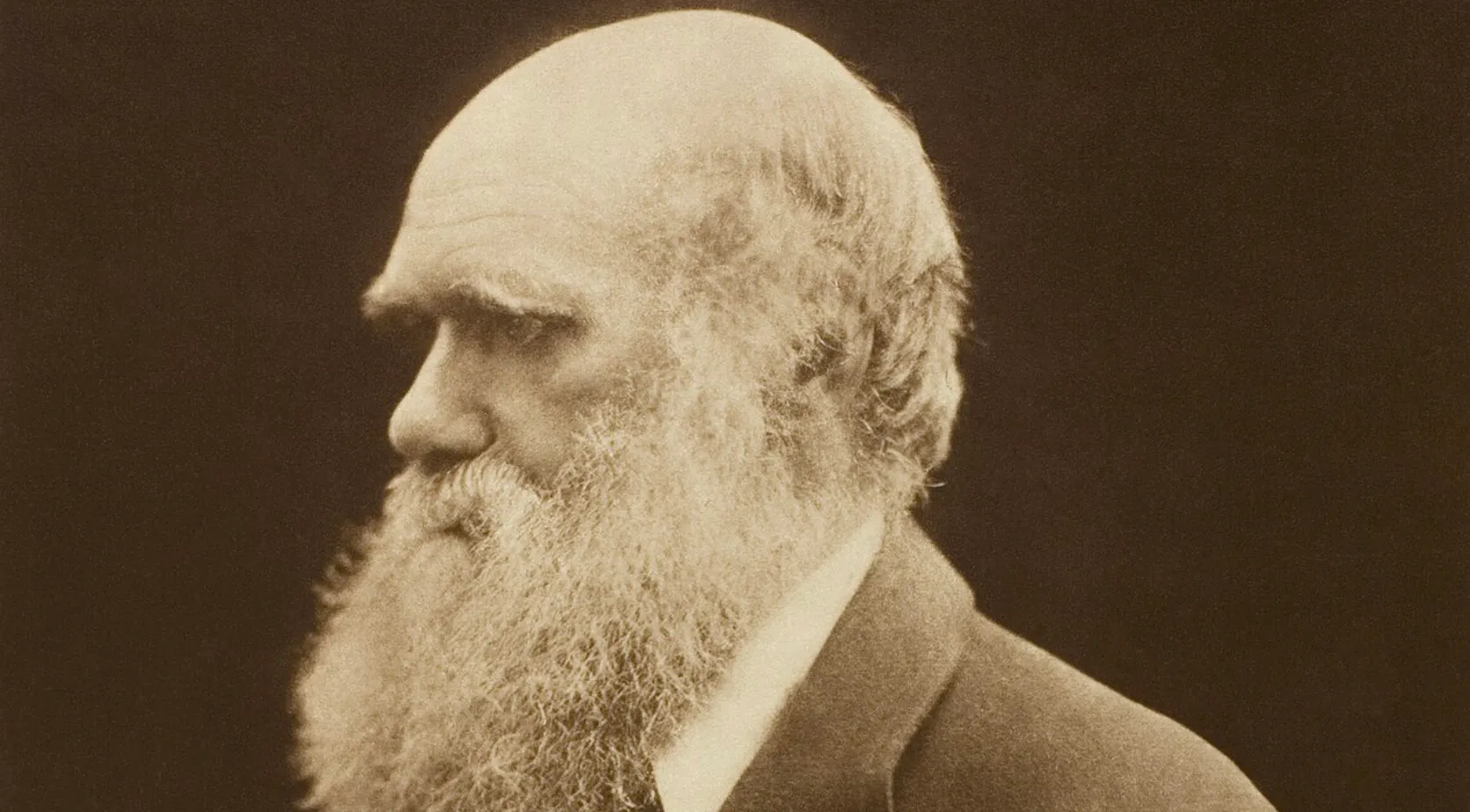 Sepia-toned profile of Darwin with a flowing white beard, embodying general knowledge and big ideas about evolution.
