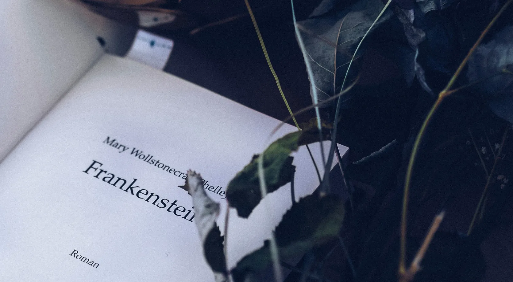 An open copy of Mary Shelley's Frankenstein, partially obscured by dark foliage, hinting at big ideas and general knowledge quiz topics.