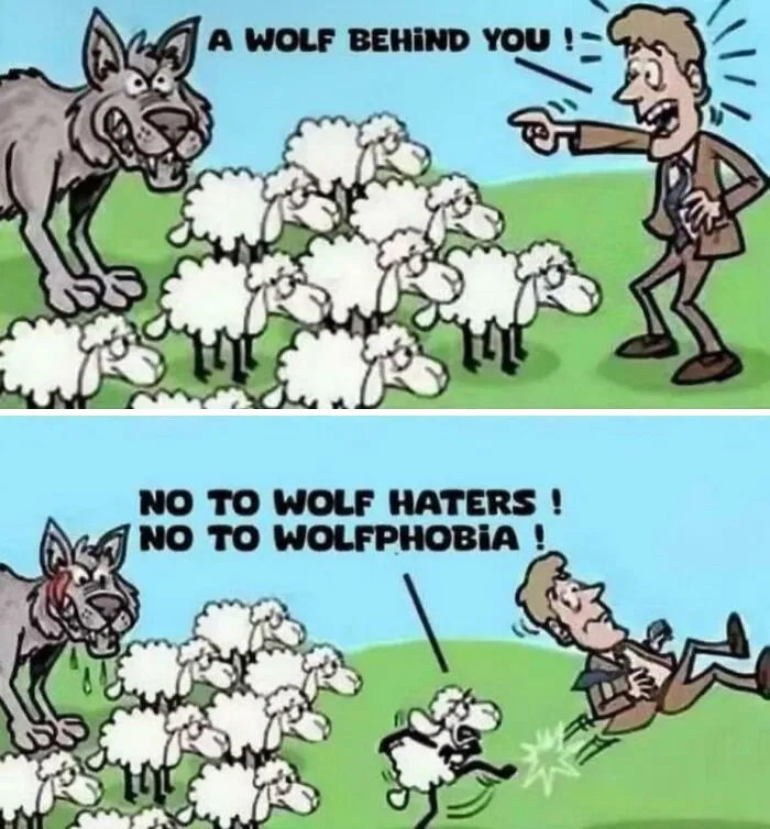 I’m 14 And This Is Deep