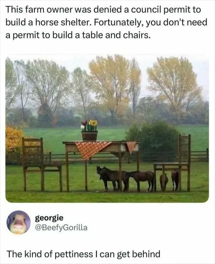 36 Funny Internet Masterpieces To Make You Chuckle