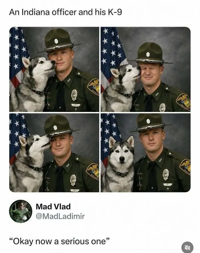 36 Funny Internet Masterpieces To Make You Chuckle