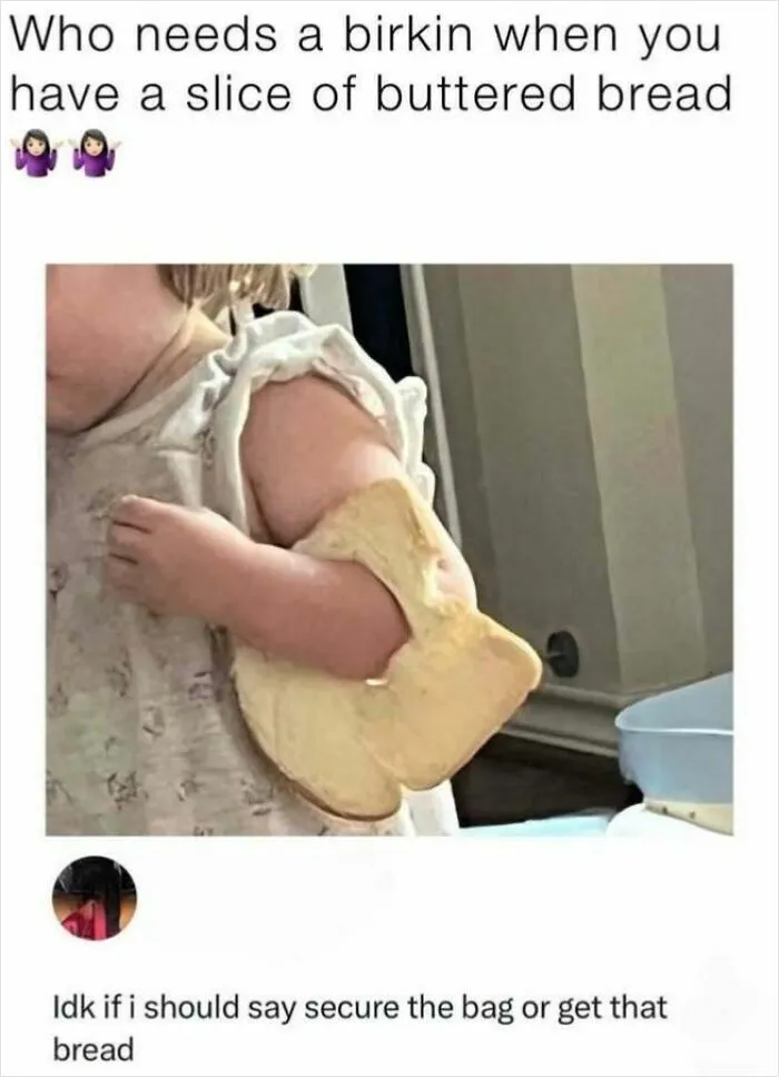 Funny meme comparing a birkin bag to a slice of buttered bread as a handbag