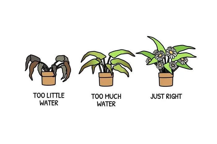 Illustrator Creates Motivational Images That Might Help You Improve Your Life (58 New Pics)