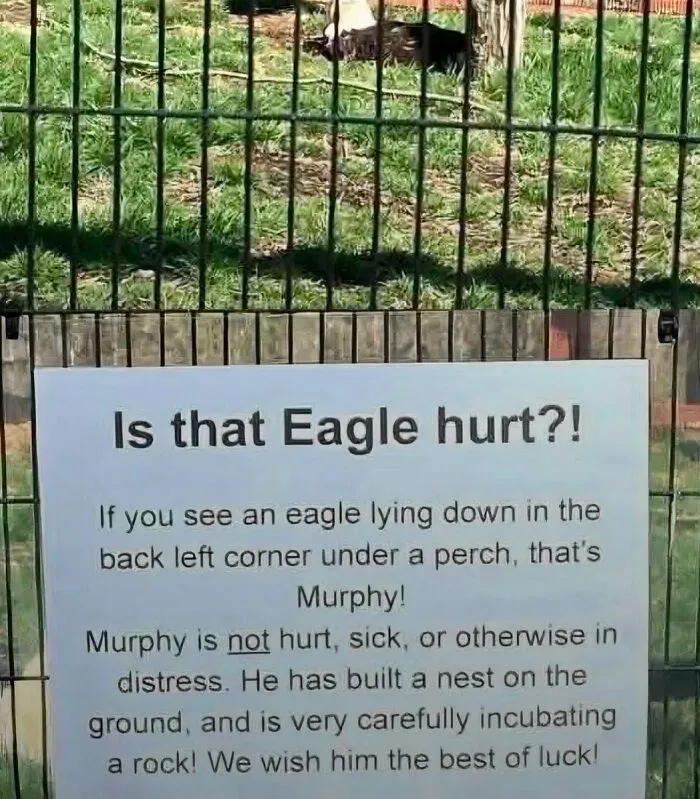 This FB Page Is Dedicated To Absurd Signs, Here Are The 84 Funniest Examples