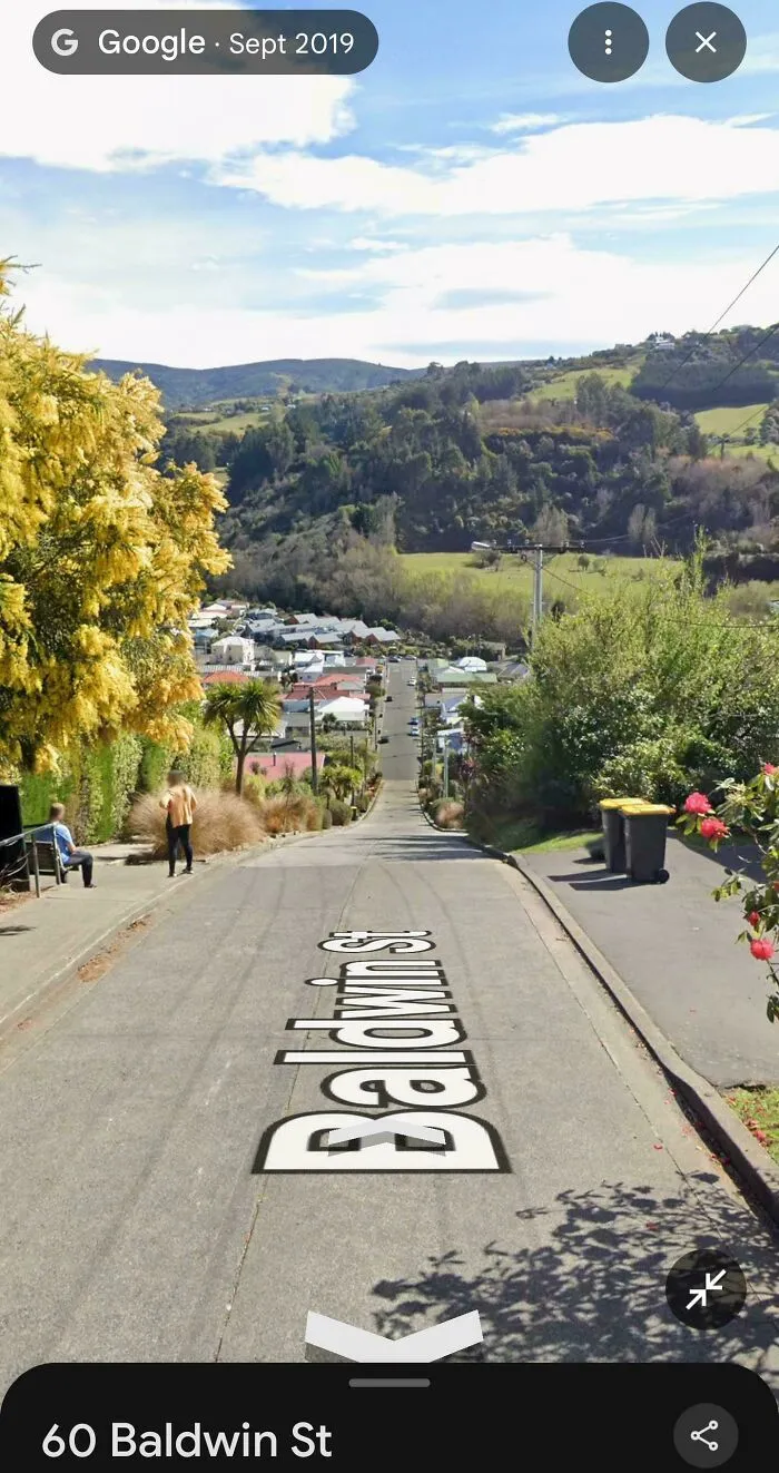 Street view of steep Baldwin St with houses and greenery from Google Maps