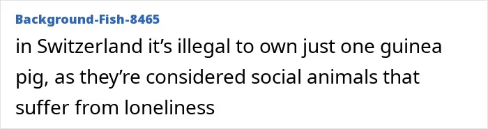 "Flip-Flops Are Banned": 55 Unexpectedly Weird Laws From Countries All Around The World