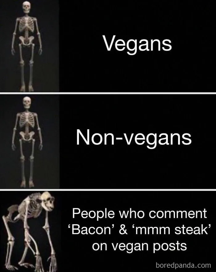69 Vegan Memes That Never Get Old 