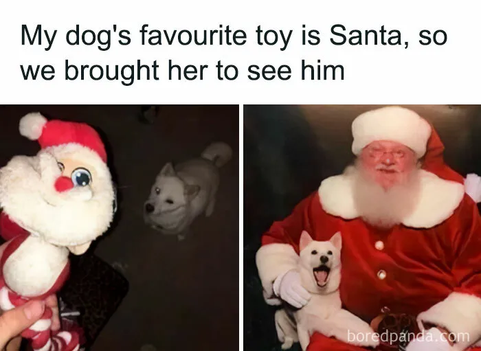If Nothing Brings You Joy Anymore, Try These 75 Funny And Wholesome Animal Memes