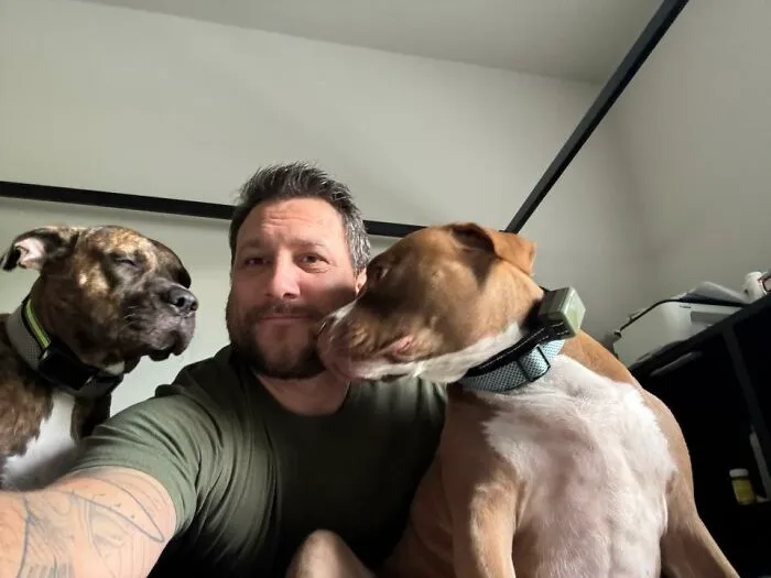 48 Pets Get Roasted So Brutally Online That Their Owners Are Still Processing It