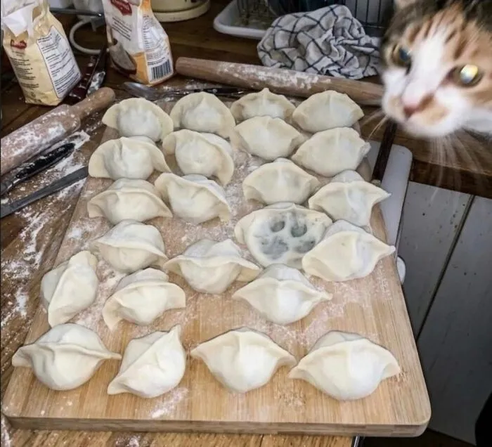 A funny photo showing a cat looking at dumplings on a wooden board with a paw print on one, proving cats are chaotic creatures.