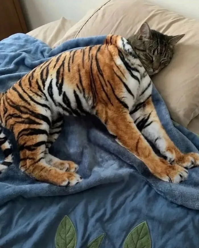 This Facebook Page Shares Animal Images That Feel Way Too Important To Ignore (38 New Pics)