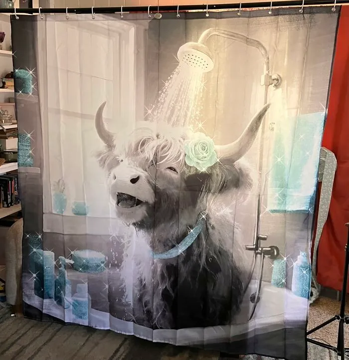 Highland Cow Shower Curtain