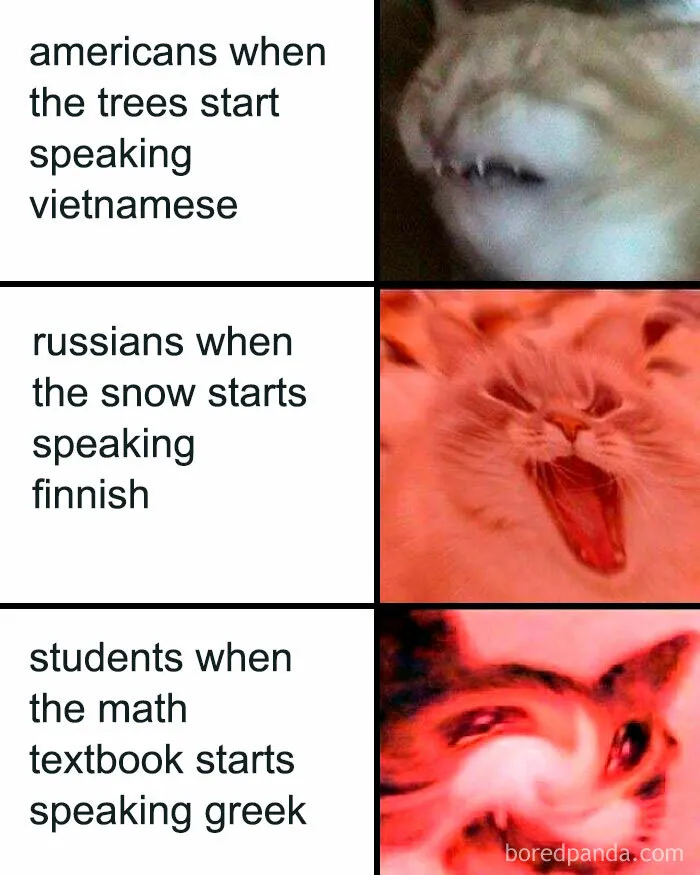 83 Math Memes For People Who Are Good With Numbers