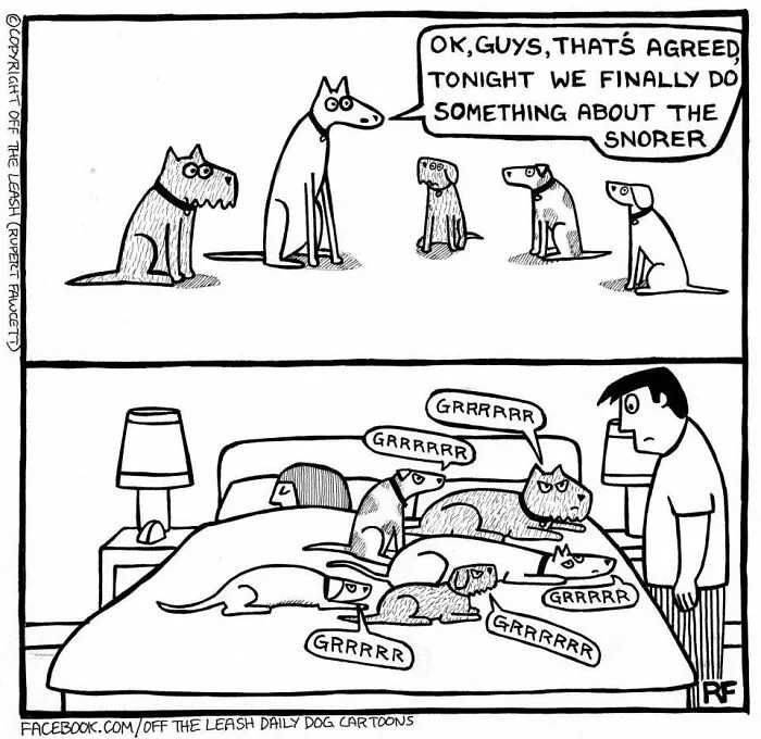 A comic showing dogs planning against a snoring dog, humorously capturing living with dogs by Rupert Fawcett.