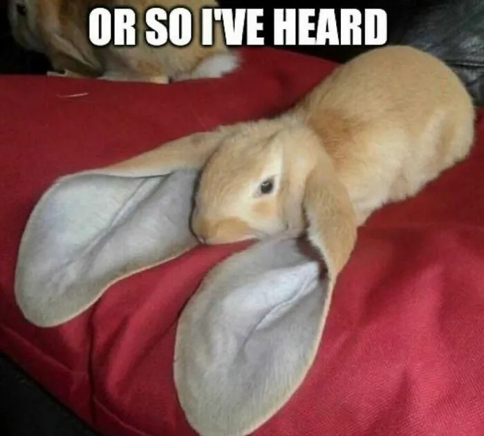 111 Funny Memes To Enjoy When You’re Bored, Tired, Or Just Need A Laugh