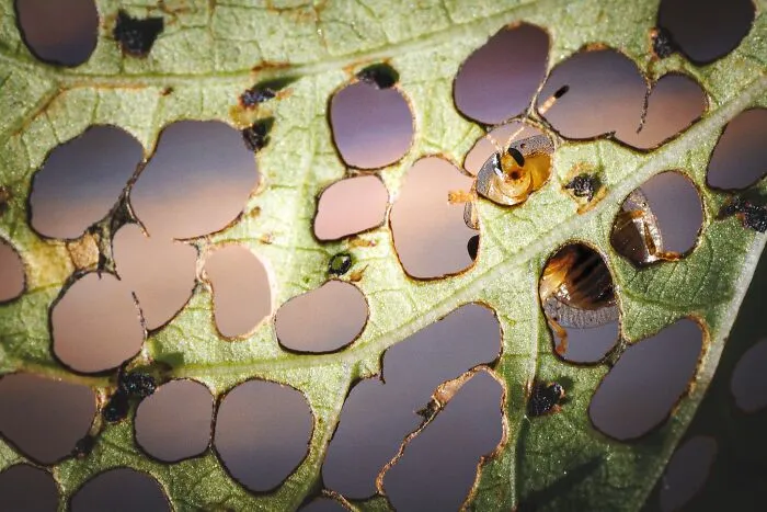 20 Powerful Photos From The 2026 Animal Kingdom Competition By Life Framer