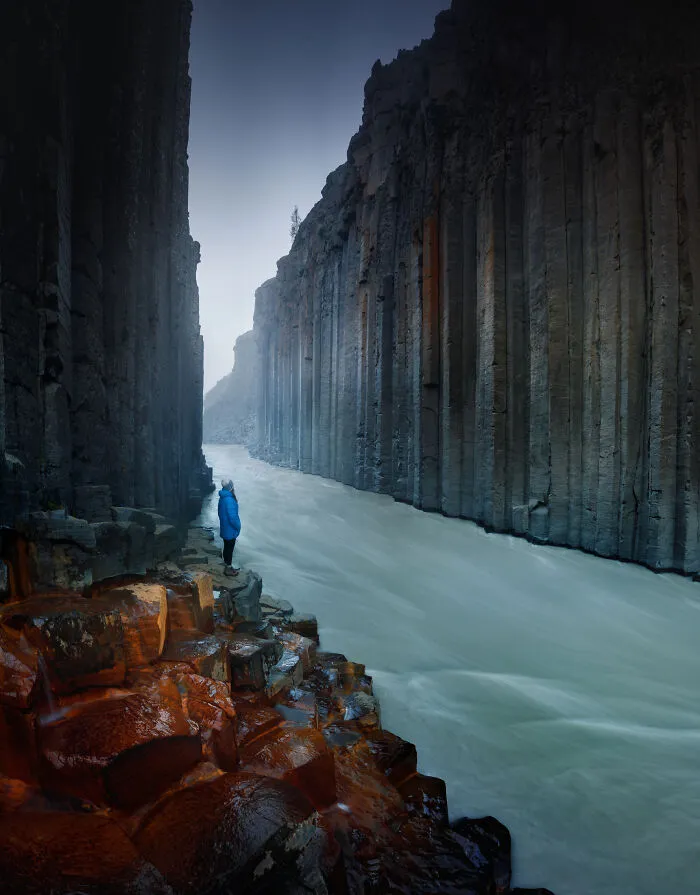 41 New Nature Photos From Around The World That Feel Almost Too Beautiful To Be Real