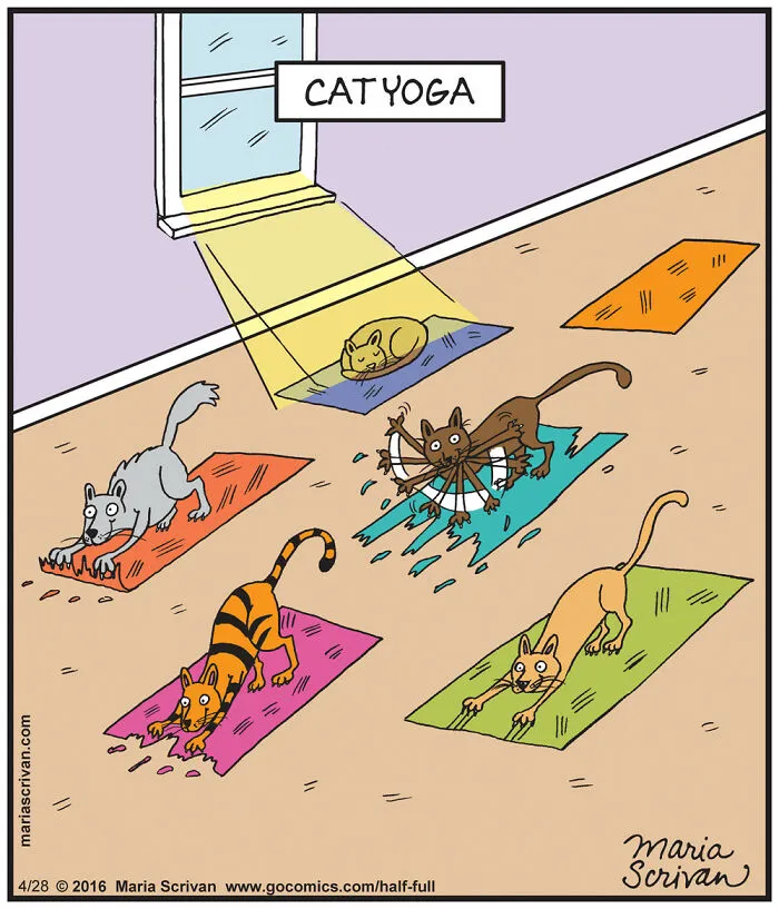 The 65 Best Comics That Prove Absurd Humor Is The Best Kind Of Humor By Maria Scrivan