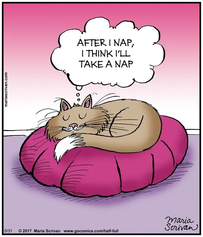 The 65 Best Comics That Prove Absurd Humor Is The Best Kind Of Humor By Maria Scrivan