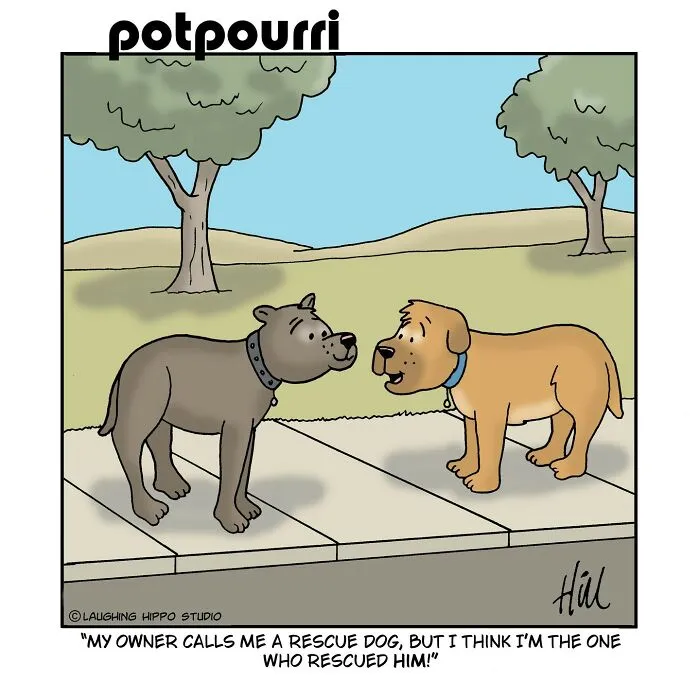 100 Best ‘Laughing Hippo Studio’ Comics By Cartoonist Doug Hill