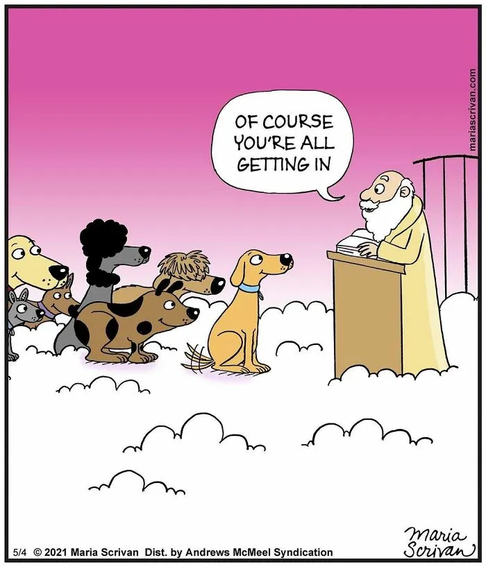 The 65 Best Comics That Prove Absurd Humor Is The Best Kind Of Humor By Maria Scrivan
