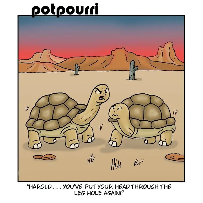 100 Best ‘Laughing Hippo Studio’ Comics By Cartoonist Doug Hill