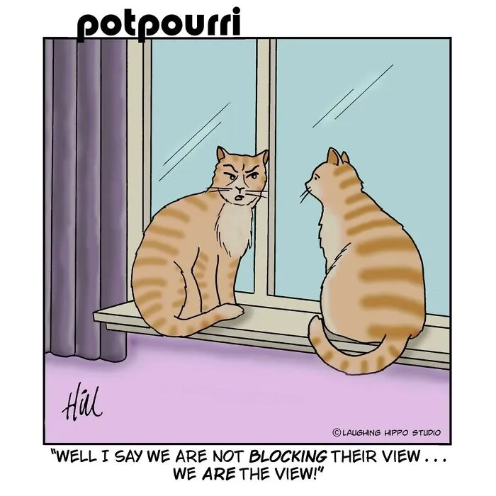 100 Best ‘Laughing Hippo Studio’ Comics By Cartoonist Doug Hill
