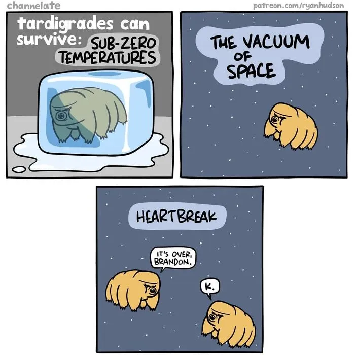 The Best 50 Comics That Prove Dark Humor Is The Best Kind Of Humor By Ryan Hudson