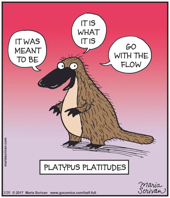 The 65 Best Comics That Prove Absurd Humor Is The Best Kind Of Humor By Maria Scrivan