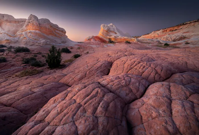 41 New Nature Photos From Around The World That Feel Almost Too Beautiful To Be Real