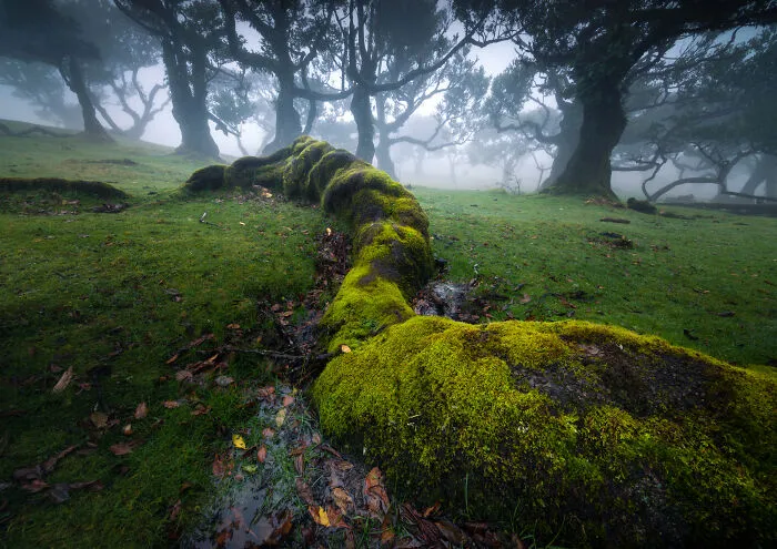 41 New Nature Photos From Around The World That Feel Almost Too Beautiful To Be Real