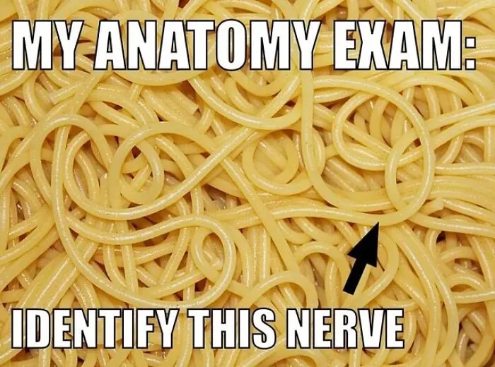 71 Funny Medical Memes That Are Just What The Doctor Ordered