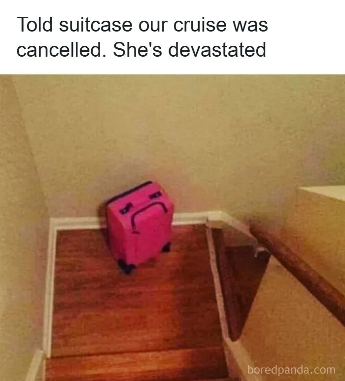 61 Hilariously Relatable Travel Memes That Hit Harder Than Jet Lag