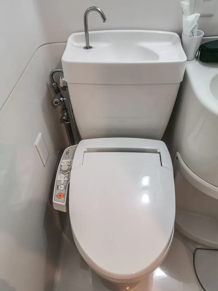 Ultra-Fancy Toilets