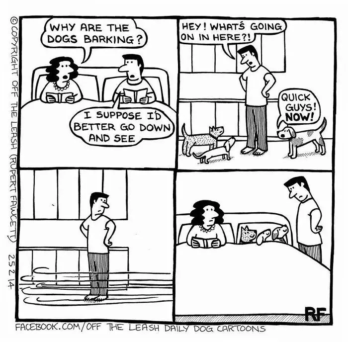 Why Are The Dogs Barking?