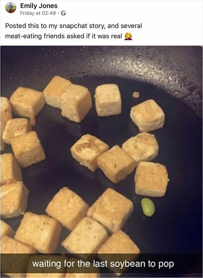 69 Vegan Memes That Never Get Old 