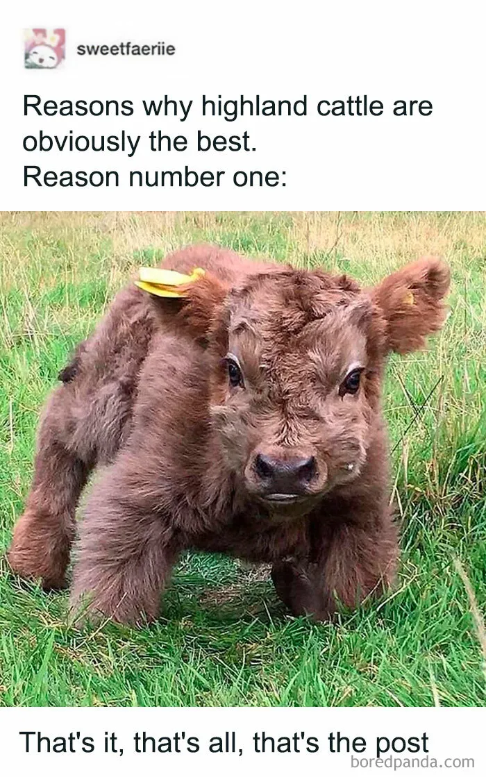 If You Are Feeling Down, These 83 Positive Posts Might Make Your Day