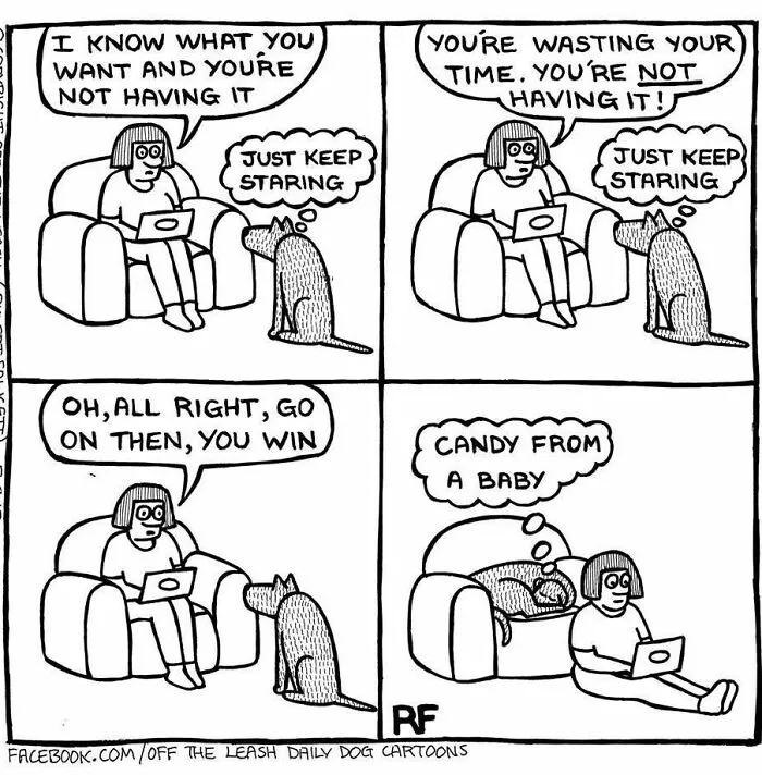 I Know What You Want