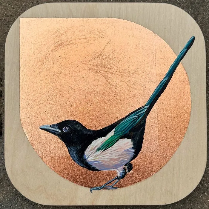 “A Wee Magpie”