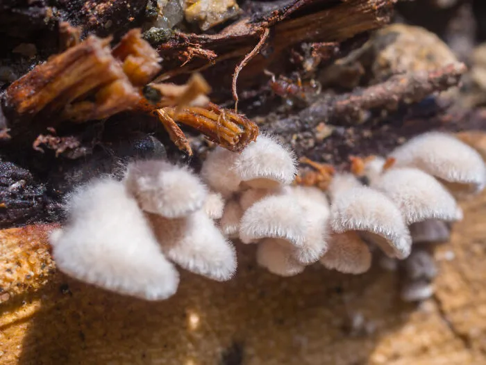 35 Scientific Facts That Are Hard To Believe Are Actually Real